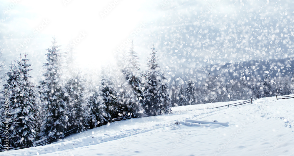 Fototapeta premium Beautiful winter landscape with snow covered trees