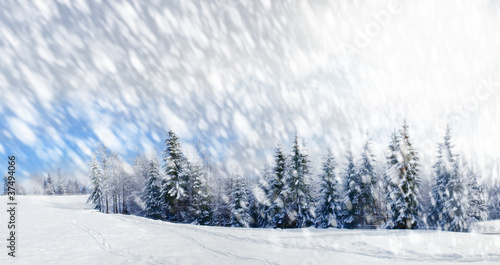 Fototapeta Naklejka Na Ścianę i Meble -  Beautiful winter landscape with snow covered trees