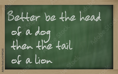 " Better be the head of a dog then the tail of a lion " written