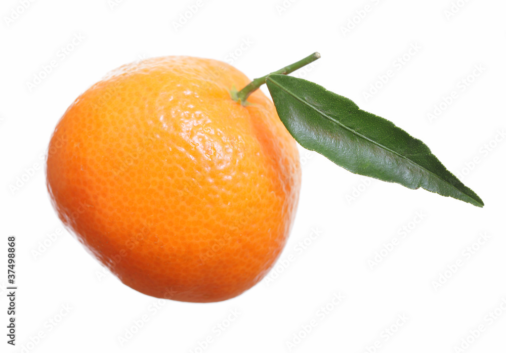 Mandarin. Mandarin.