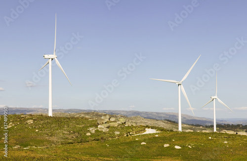 Windmills at the mountain