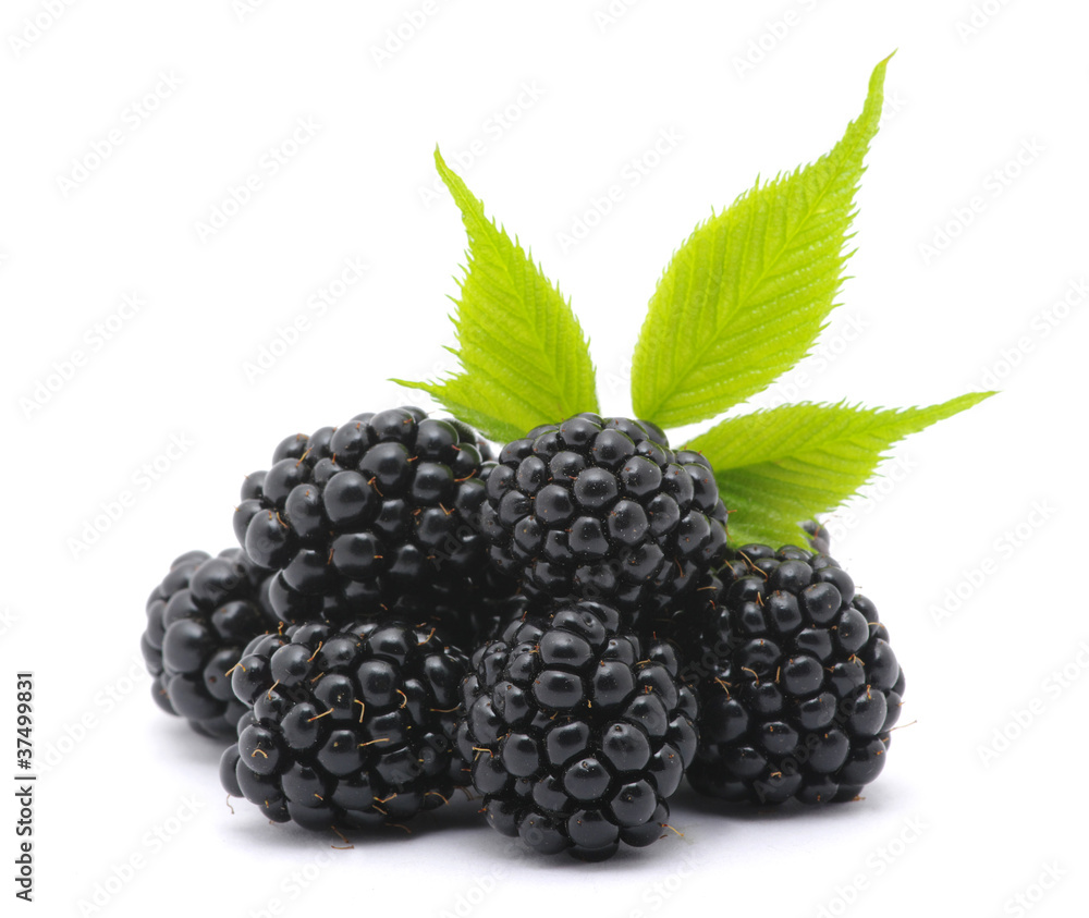 Blackberries Blackberries