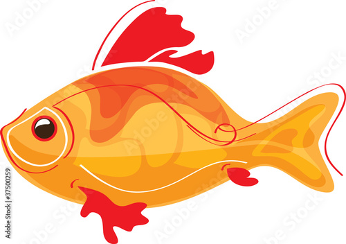 goldfish cartoon