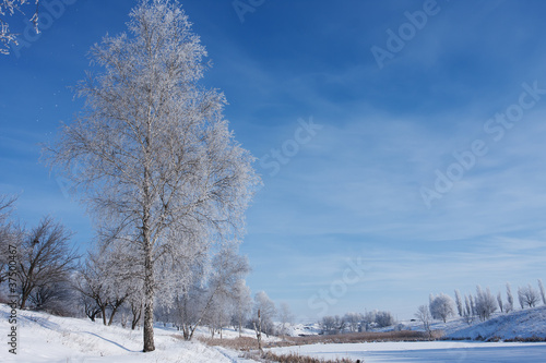 wintel landscape with frozen trees on the bank of lake