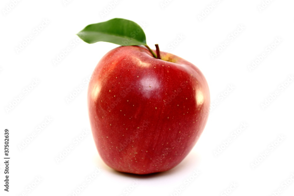 Red apple isolated Red apple isolated
