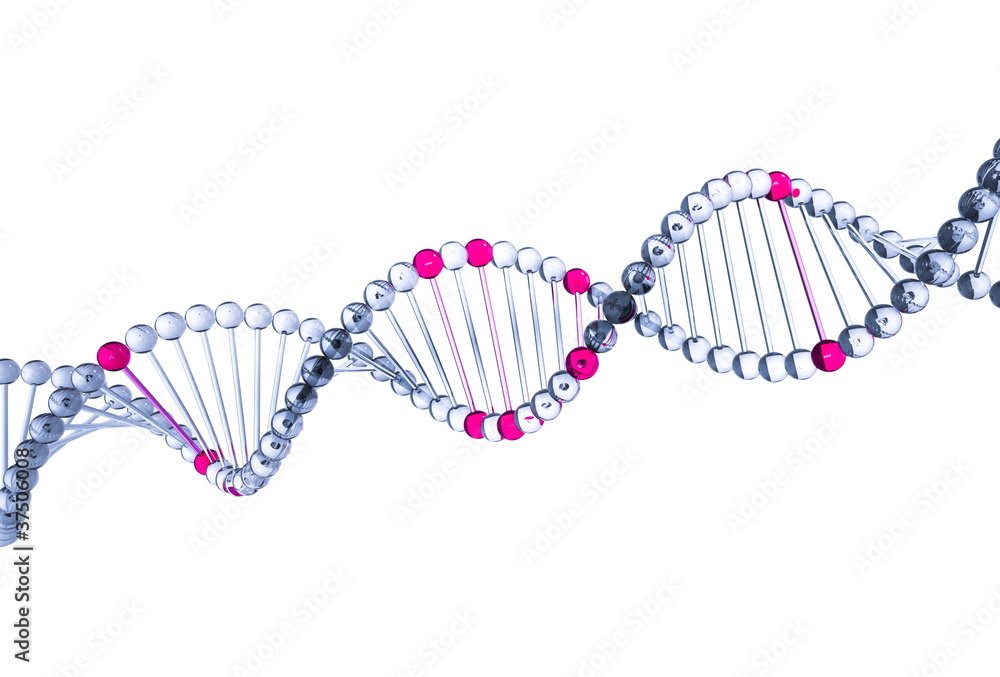 3d DNA. Isolated on white background