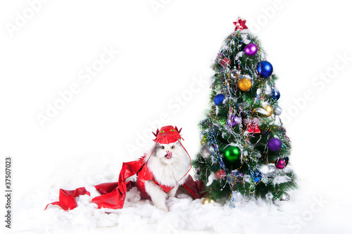 cat-dragon near the tree on a white background isolated