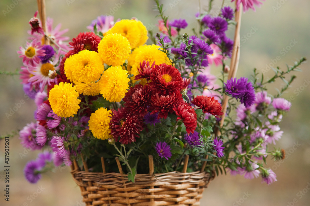 Pretty colorful flowers in a basket