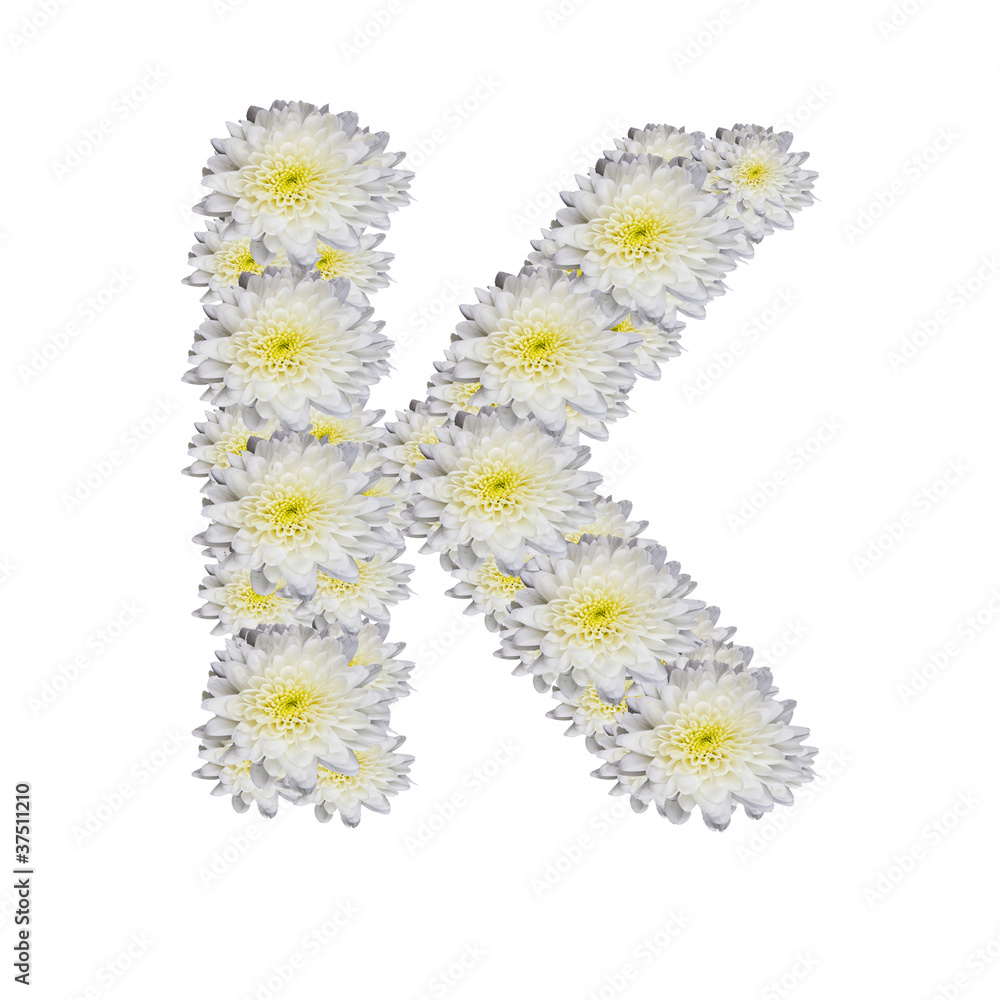 alphabet K , White Flower on white background