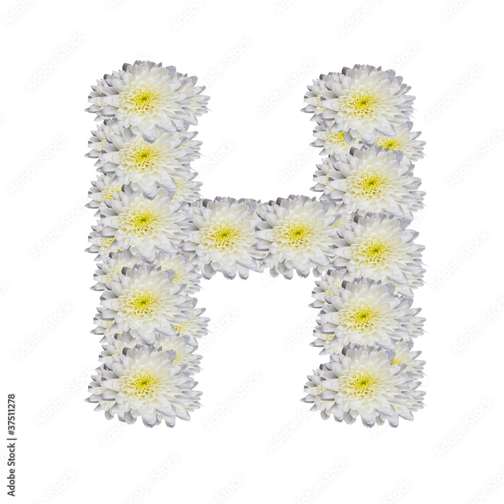 alphabet H,  White Flower on white background