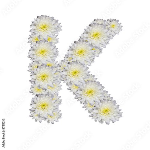 alphabet K   White Flower on white background