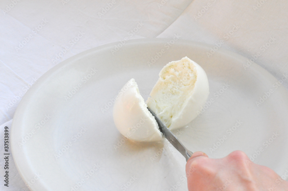 Mozzarella cheese Mozzarella cheese