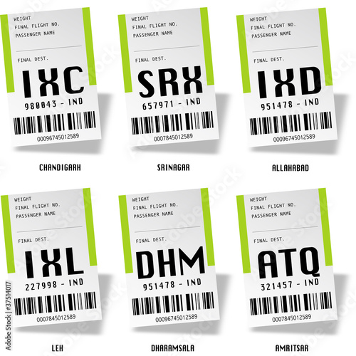 Airport tag bags - Inde du nord 01