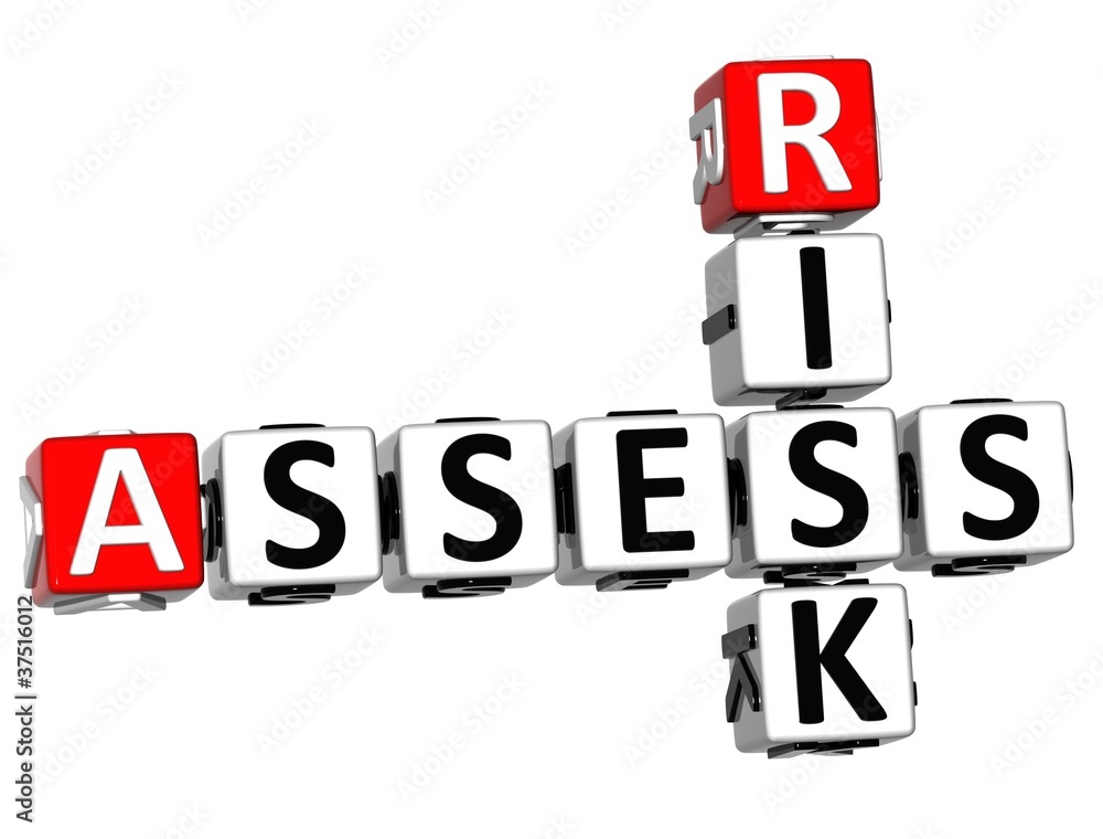 3D Assess Risk Crossword