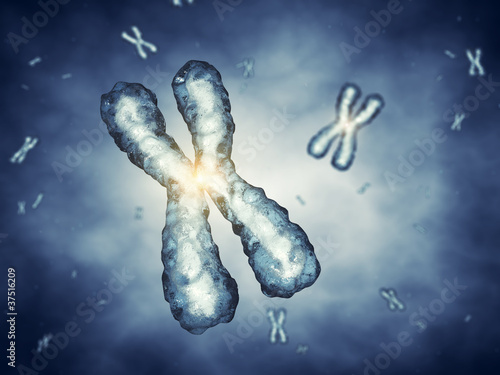 Chromosomes , genetic engineering