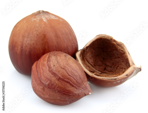 Filbert nuts close up