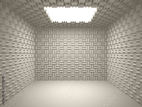 Canvas Print Acoustic room