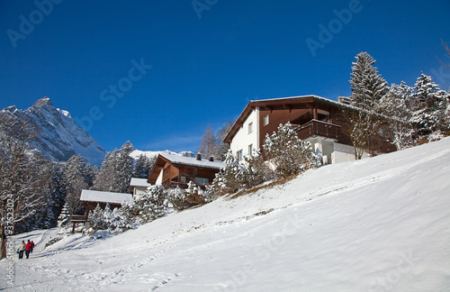 Winter in alps