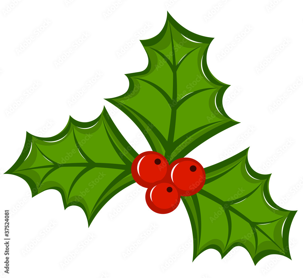 Holly berry Holly berry