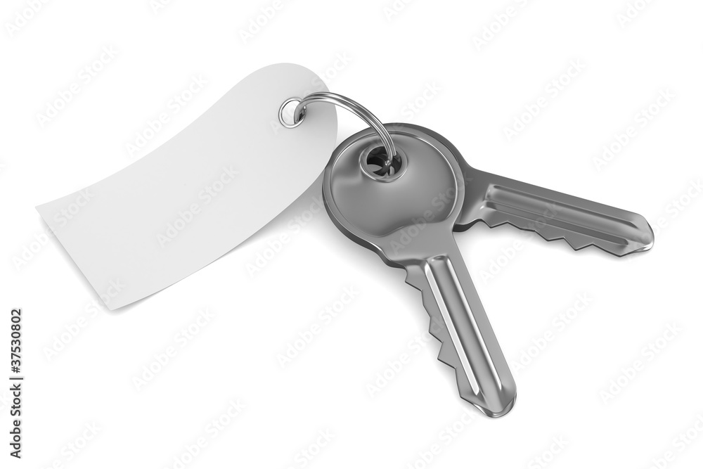 Isolated two keys on white background. 3D image Isolated two keys on white background. 3D image