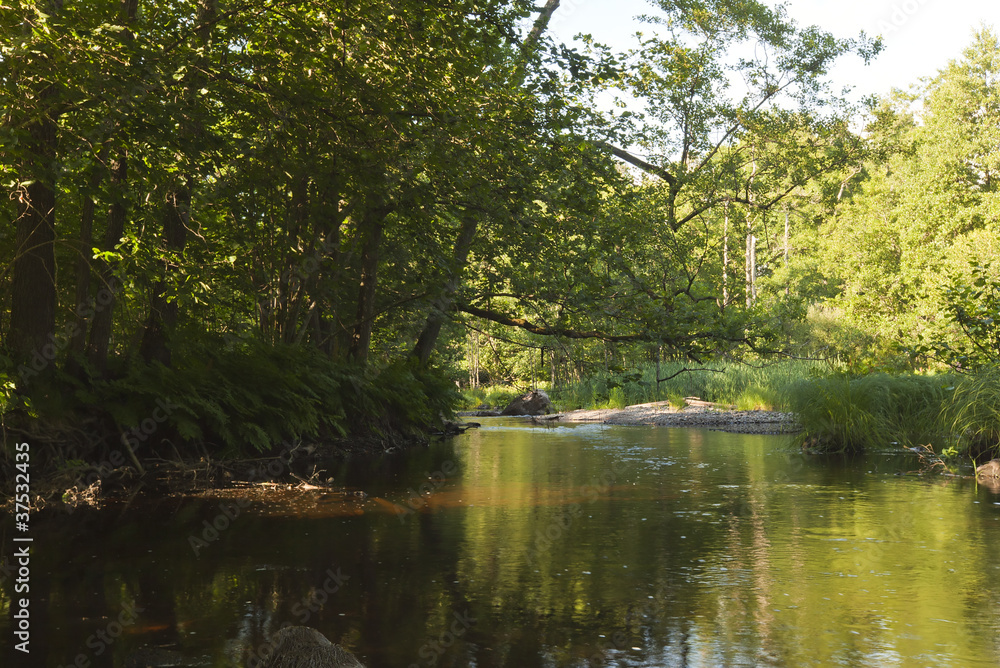 River landscape, strömsrum, sweden