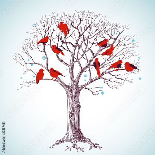 Winter tree with birds