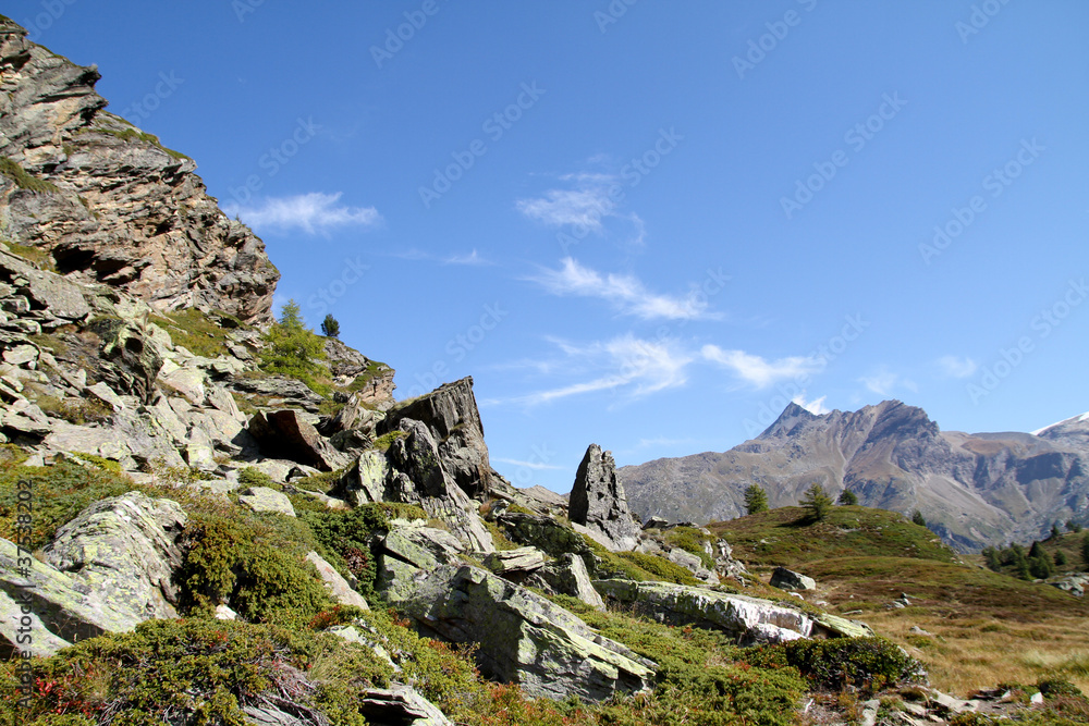rocks in swiss alps in summer