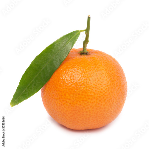 Orange mandarin
