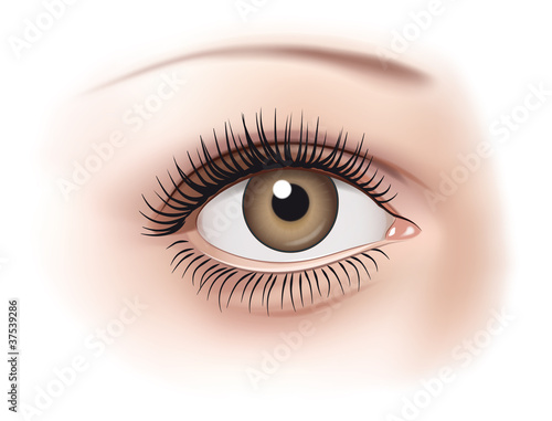 Auge - braun