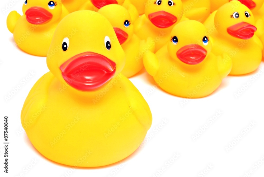 Patos de goma Patos de goma