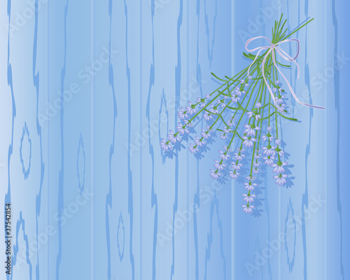 lavender background