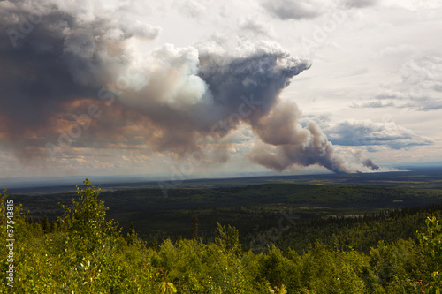Waldbrand in Alaska