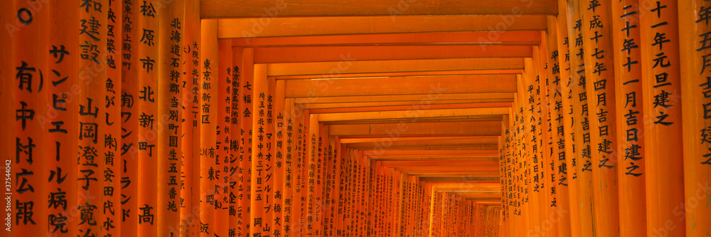 Obraz premium Schrein in Kyoto