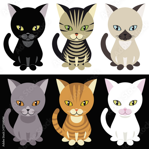 Kittens mascotte on white and black background