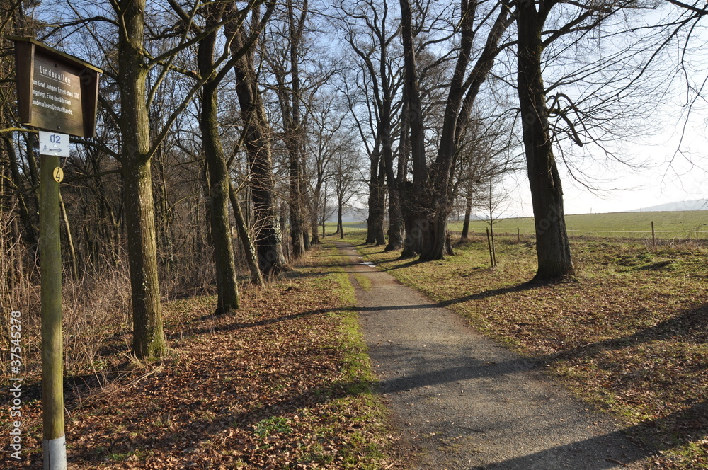 Weilburg Lindenallee