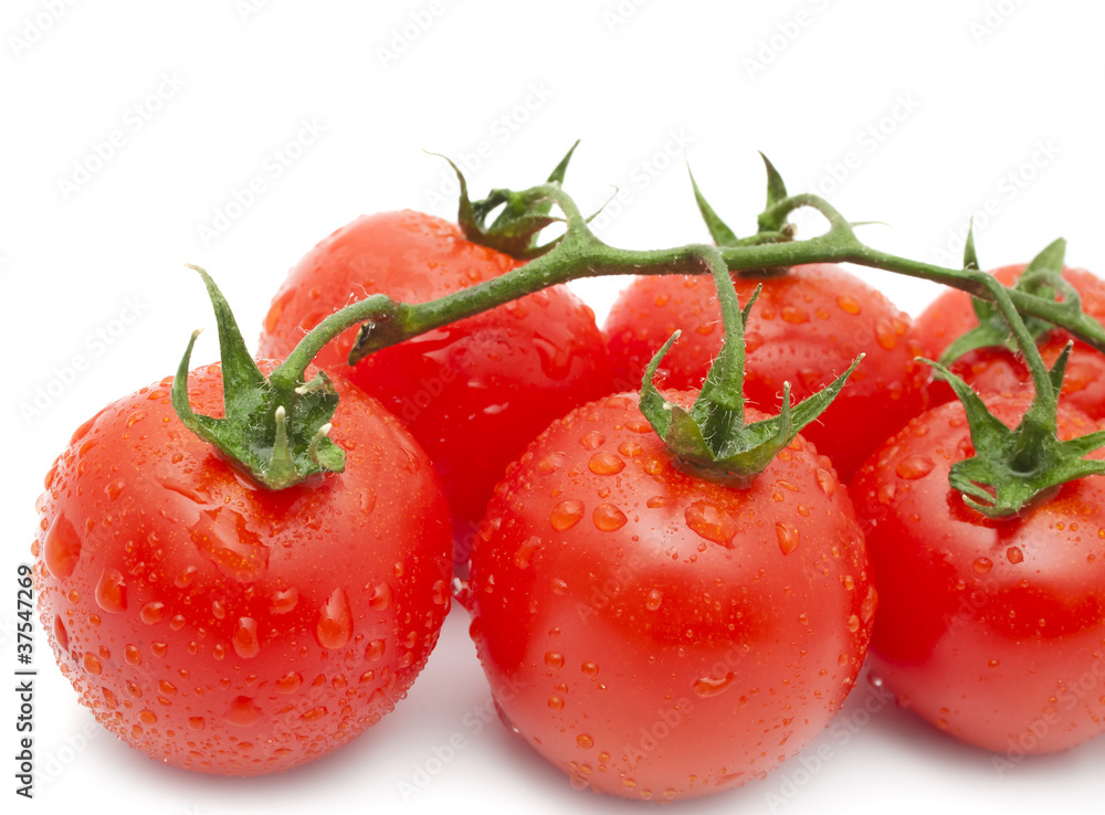 Close-up photo of tomatoes with water drops Close-up photo of tomatoes with water drops