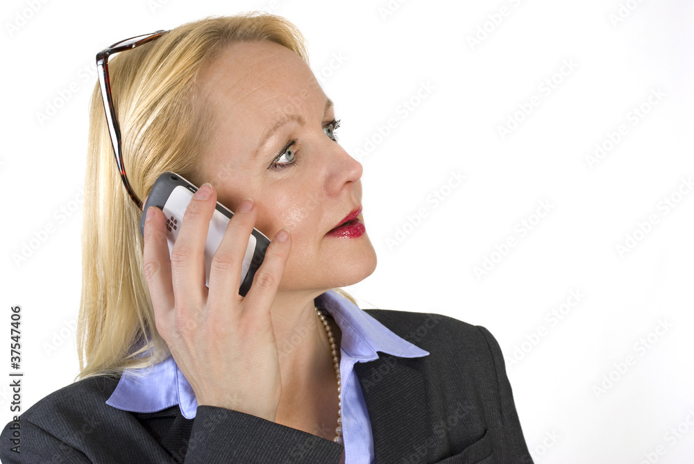 Portrait of an adult beautiful business woman. Portrait of an adult beautiful business woman.