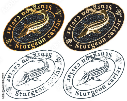 caviar from fish and anchors
