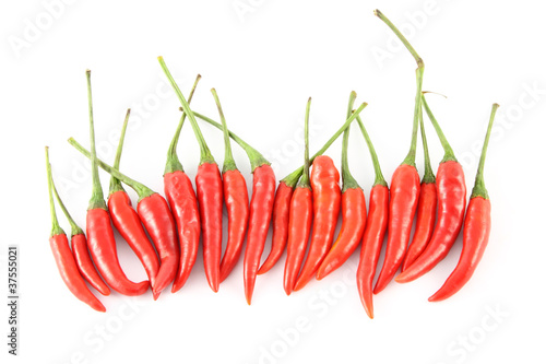 Row of red hot chili.