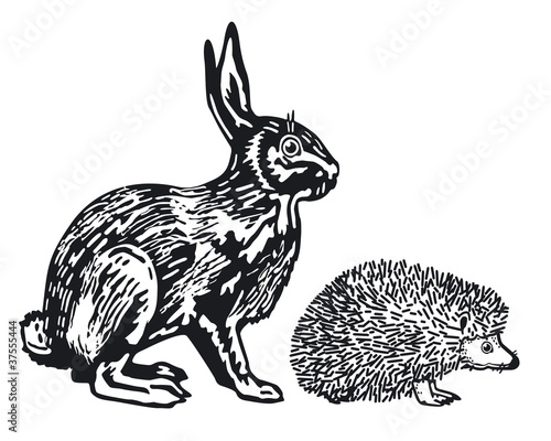 Hase und Igel