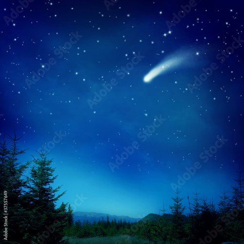 Plakat drzewa meteory noc spokojny pole