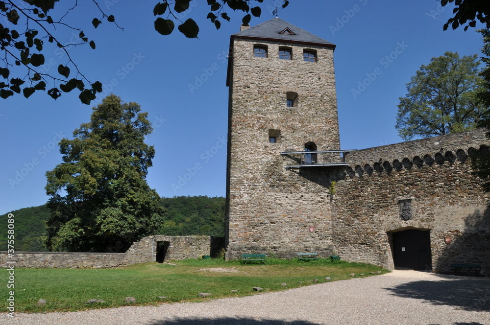 Alte Burgruine bei Schloss Sayn