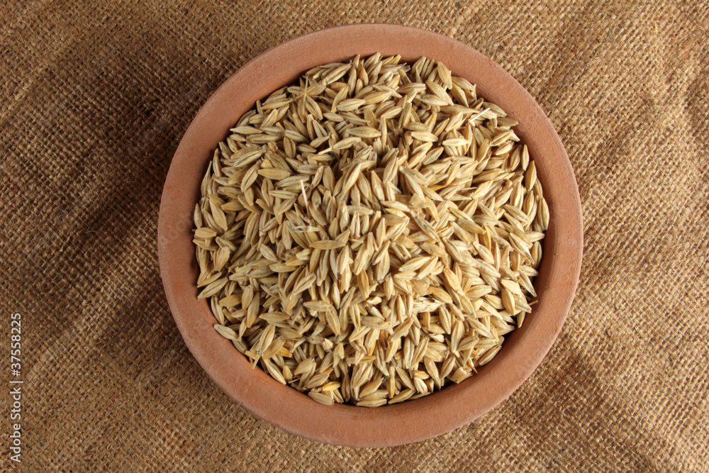 barley barley