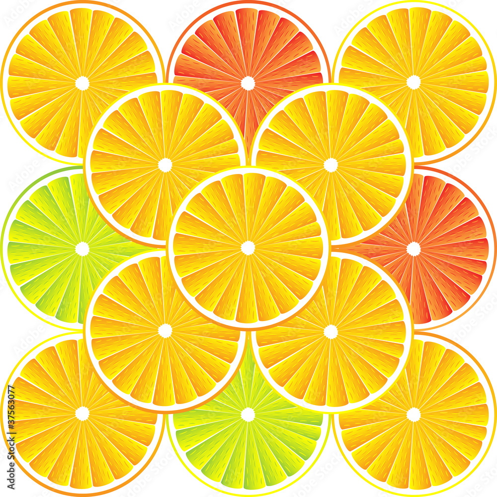 Citrus fruit background - vector Citrus fruit background - vector