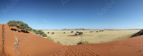 Panorama Sossusvlei