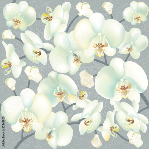 Orchid seamless texture