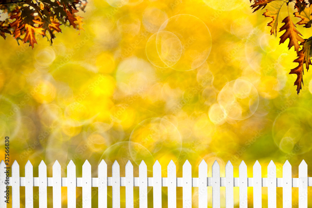 White fence. Autumn bokeh, abstract background White fence. Autumn bokeh, abstract background