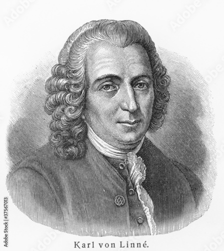 Carl Linnaeus photo