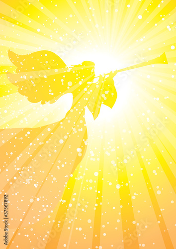 rays herald angel