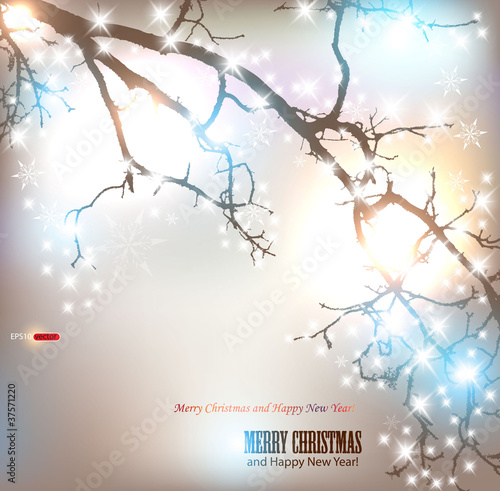 Elegant nature background with place for text. Winter tree with